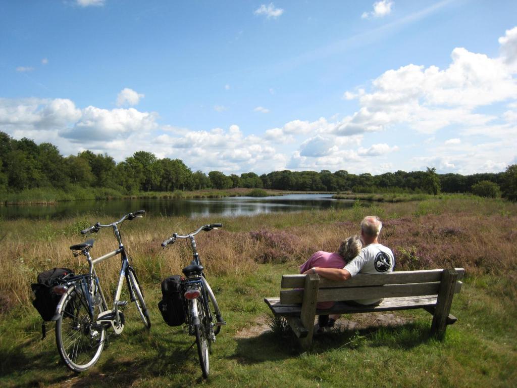 Vakantiepark De Bronzen Eik Sellingen Zewnętrze zdjęcie